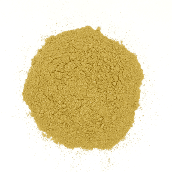 Organic Coriander Powder