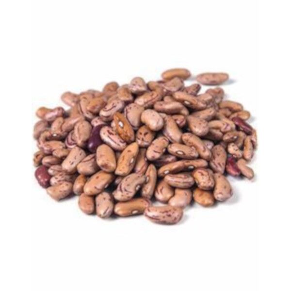 Pinto Bean