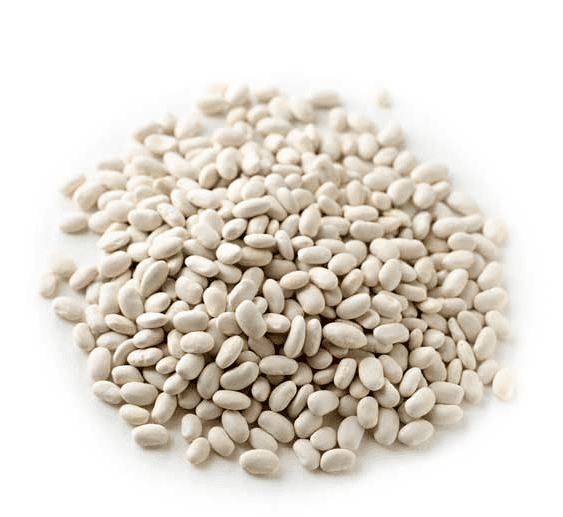 Great Northern Beans